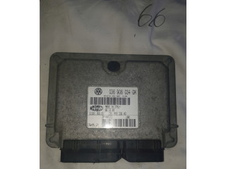 БЛОК УПРАВЛЕНИЯ ДВИГАТЕЛЕМ Seat IBIZA 036906034GM     