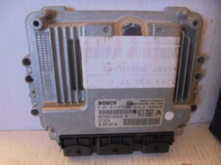 Řídící jednotka 9664843780, 0281013872 Inny