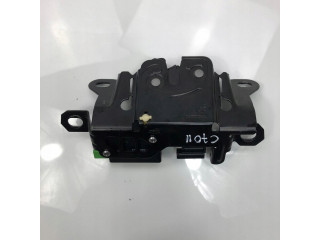 ZAMEK ЗАСЛОНКИ BAGAŻNIKA ЗАДН. C30 C70 II  30784739   Volvo   