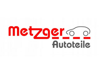 Тормозной цилиндр 7.02551.12.0, 702551120 03G145209 Metzger