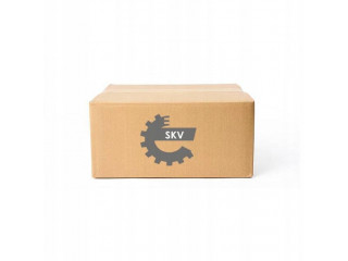 Тнвд 02skv955 esen skv