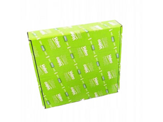 Přední světlo   1624961V, 712451901129 51701593 Valeo  