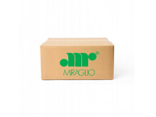 Zámek zadních dveří 8200052036 RENAULT, 8200052036 Miraglio