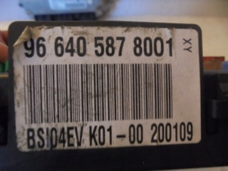 Řídící jednotka 9664843780, 0281013872 Inny