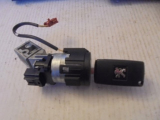 Řídící jednotka 9664843780, 0281013872 Inny