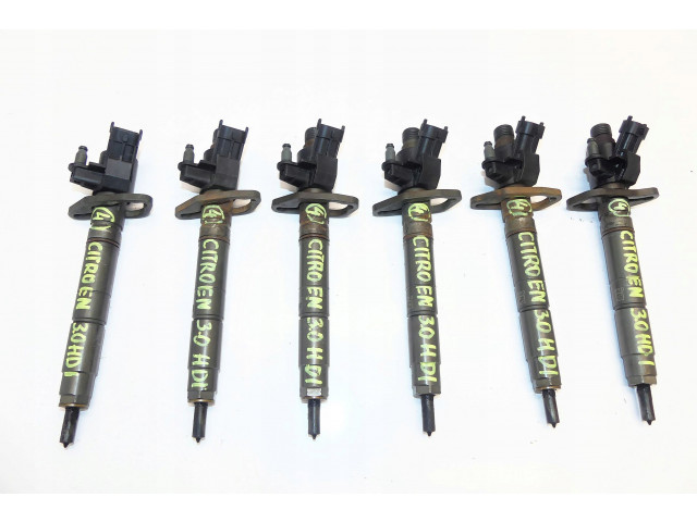 Citroen c5 iii c6 3.0 hdi v6 форсунка bosch 0445116013, 9X2Q-9K546-DB