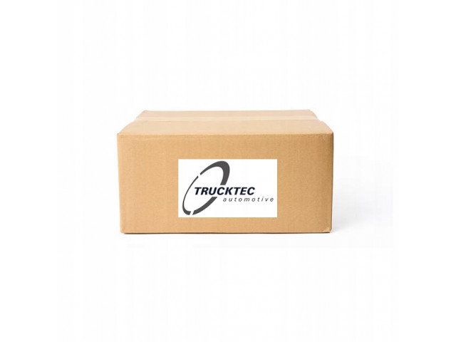 Vstřikovací čerpadlo 08.12.078, 0812078 Trucktec Automotive pro benzínový motor