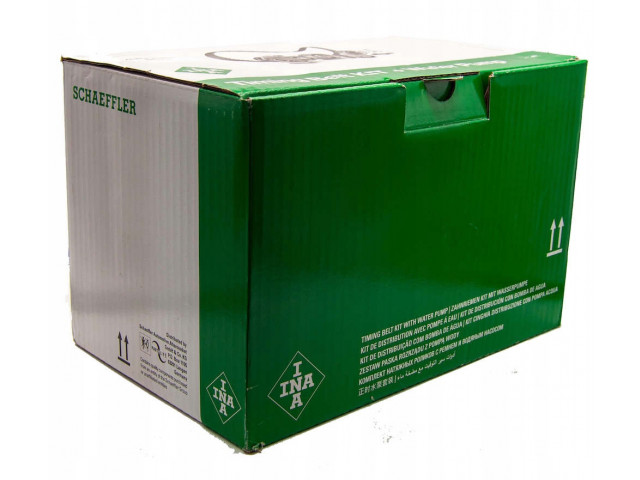 Vstřikovací čerpadlo 4005108895233 2208019 INA