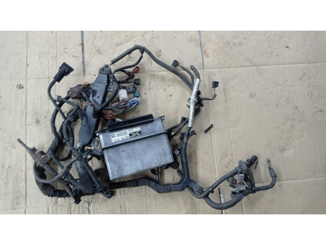 БЛОК УПРАВЛЕНИЯ БЛОК УПРАВЛЕНИЯ ДВИГАТЕЛЕМ wiązk 2jz GE VVTI gs300  89661-3A431, 896613A431  Inny (1) 