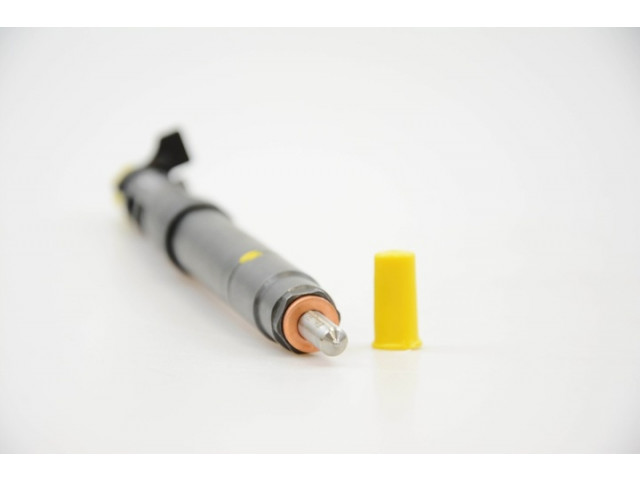 Vstřikovač R09.2007, R092007 EMBR00101D Delphi Diesel