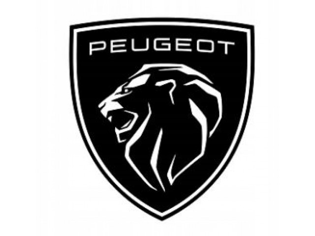 STYCZNIK OTWIERANIA ЗАСЛОНКИ 6554.V5 Peugeot