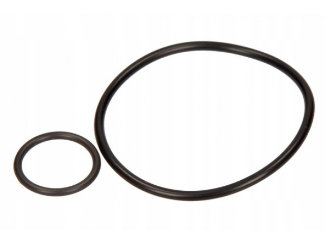 Комплект прокладок próżniowej psa 459936 PSA459936, 1764931 PSA459936 Citroen