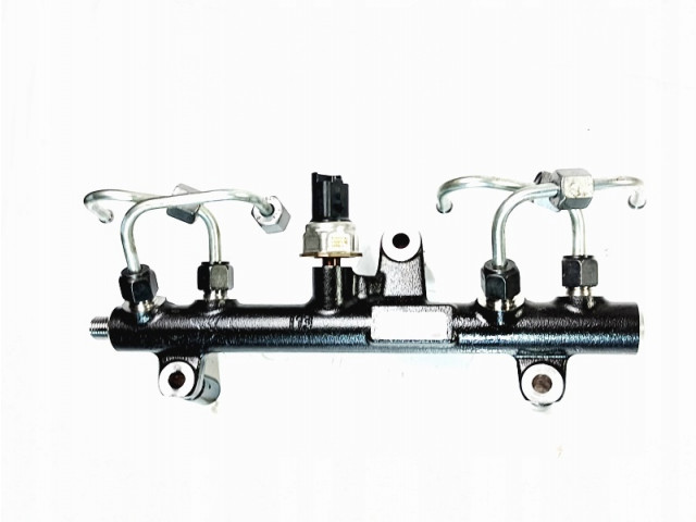 Vstřikovací lišta 9681909680-03, 968190968003 Ford Diesel