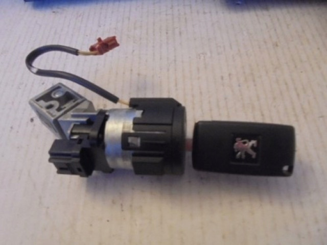 Řídící jednotka 9664843780, 0281013872 Inny