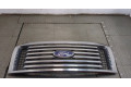 Решетка радиатора  Ford F-150 2009-2014          