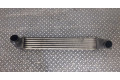 Интеркулер Mini Countryman (R60) 2010-2016 2.0