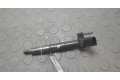 Форсунка топливная  BMW X3 G01 2017-2024    13538571565, 13538571566     