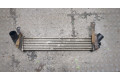 Интеркулер Nissan Kubistar 1.5 8200221885