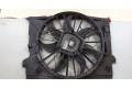 Вентилятор радиатора  Mercedes CLS C219 2004-2010           
