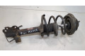 Стойка амортизатора  Nissan X-Trail (T30) 2001-2007 54302EQ025, 54010EQ02B     