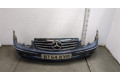 Решетка радиатора  Mercedes CLK W209 2002-2010          A20988001239040