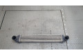 Интеркулер Mercedes A W169 2004-2012 A1695000900