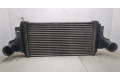 Интеркулер  Mercedes GL X164 2006-2012   A1645000200    