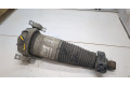 Стойка амортизатора  Volkswagen Touareg 2007-2010     5  дизель