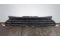 Решетка радиатора  Mini Cooper (R56/R57) 2006-2013          2752363