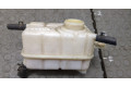 Бачок расширительный  Chevrolet Aveo (T250 / 255) 2008-2011    