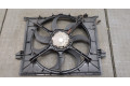 Вентилятор радиатора  Mercedes R W251 2005-2017           