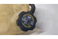Бачок расширительный Saturn VUE 2001-2007 10381902