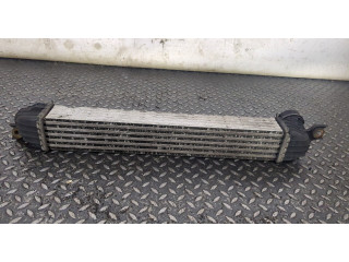 Интеркулер Mini Countryman (R60) 2010-2016 2.0