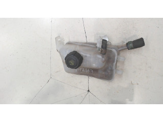 Бачок расширительный  Renault Megane 3 2009-2016 217100005   