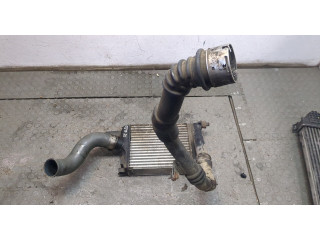 Интеркулер Dacia Duster 2010-2017 144966051R