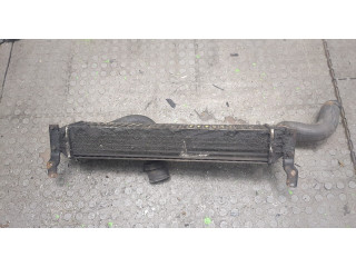 Интеркулер  Ford Galaxy 2000-2006 1.9      
