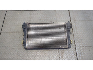 Интеркулер  Volkswagen Tiguan 2007-2011       