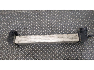 Интеркулер Mini Countryman (R60) 2010-2016 2.0