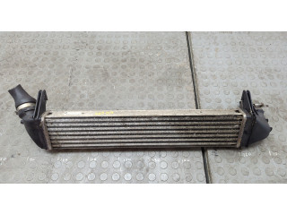 Интеркулер Dacia Logan 2004-2012 8200409045