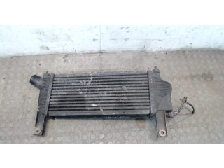 Интеркулер Nissan Pathfinder 2004-2014 2.5 14461EB360
