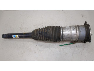 Стойка амортизатора Tesla Model S F4BE5J092W0, 600635304a