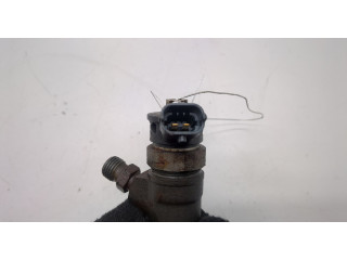 Форсунка топливная Dacia Logan 2012-2016 166008399R