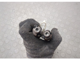 Форсунка топливная Peugeot 306 1993-2002 198005, LCR6734303G