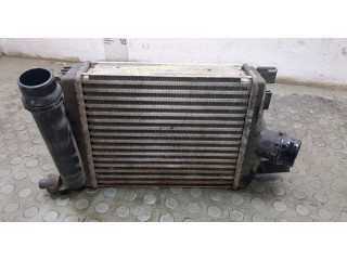 Интеркулер Dacia Duster 2010-2017 144966051R