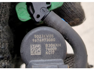 Форсунка топливная  Volvo C30 2006-2013    9674973080     