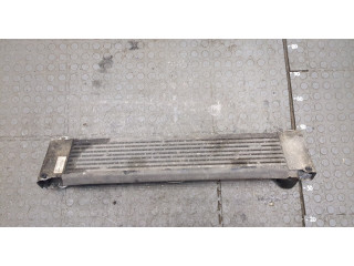 Интеркулер  Mercedes Vito W639 2004-2013       