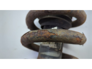 Стойка амортизатора Ford F-150 2003-2008