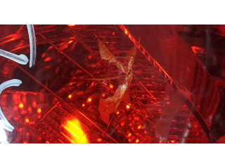 Задний фонарь          