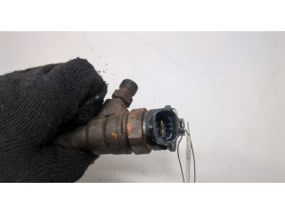 Форсунка топливная Dacia Logan 2012-2016 166008399R