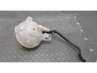 Бачок расширительный  Ford Bronco Sport 2020-2024 LX618A080   